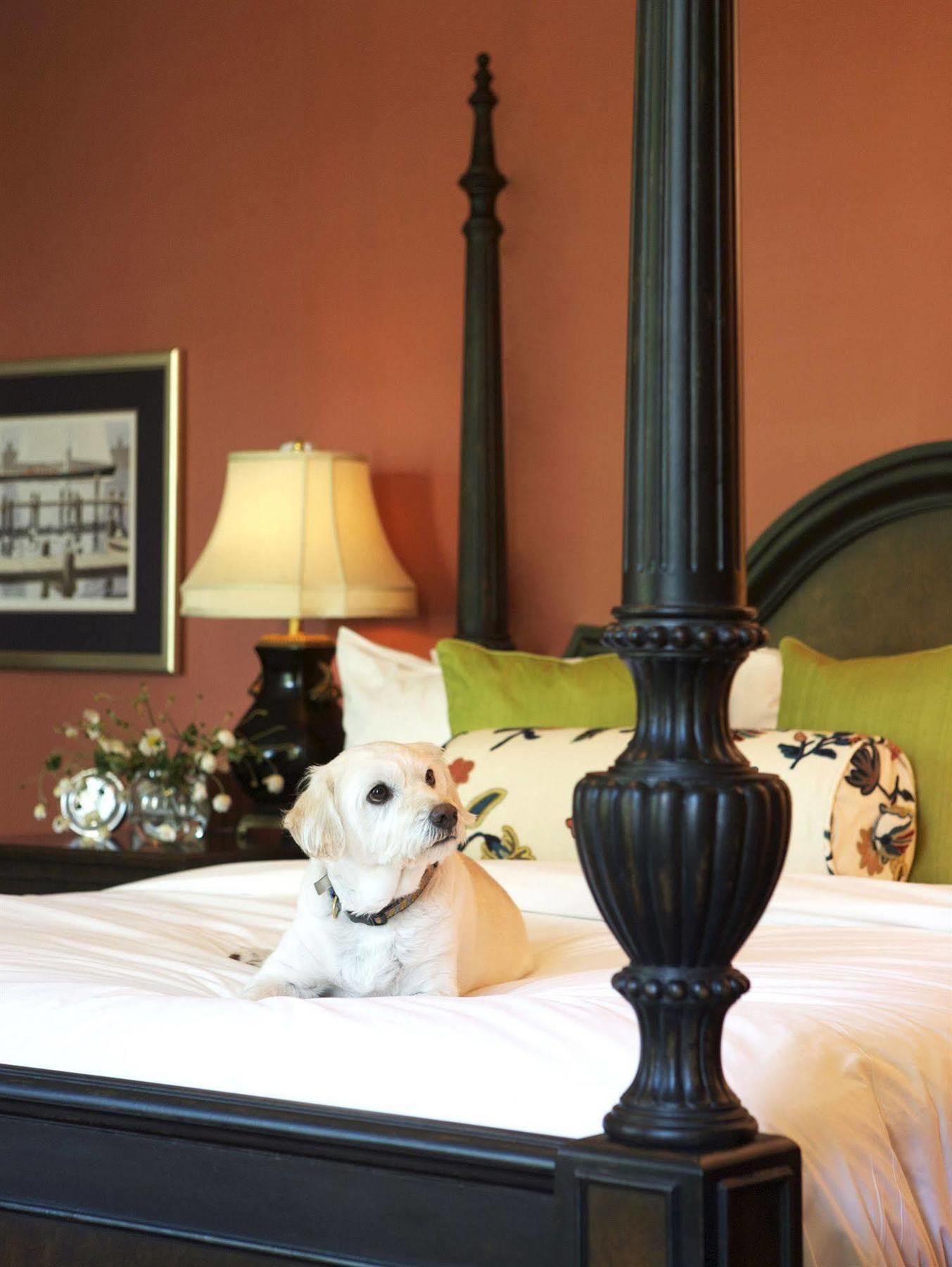 Delamar Southport Ngoại thất bức ảnh